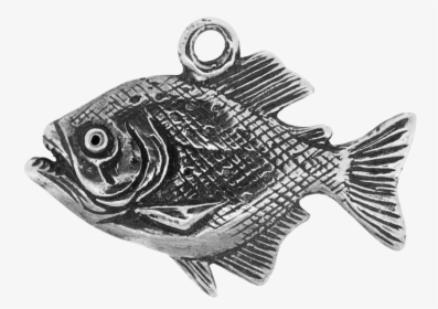 Transparent Piranha Png - Bass, Png Download, Transparent PNG