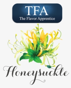 Transparent Honeysuckle Png - 15ml Flavor Apprentice Cigarillo, Png Download, Transparent PNG
