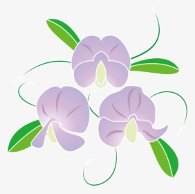 春の花2 06 スイートピーイラスト - スイートピー イラスト, HD Png Download, Transparent PNG