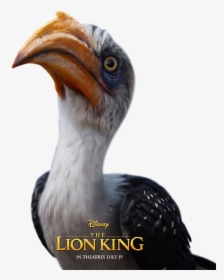 Zazu Lion King Live Action, HD Png Download, Transparent PNG