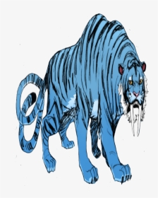 Tigre Dentes Strong World - Siberian Tiger, HD Png Download, Transparent PNG