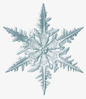 Realistic Snowflake, HD Png Download, Transparent PNG