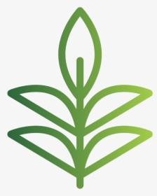 Herbaceous Plant, HD Png Download, Transparent PNG
