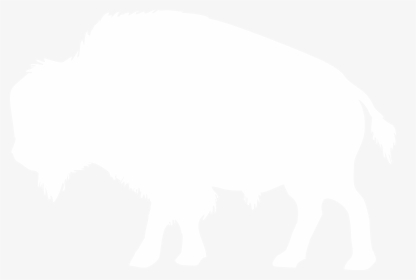 Transparent Buffalo Silhouette Png - Outline Of A Bison, Png Download, Transparent PNG