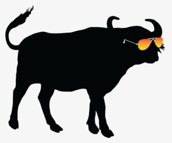 Summer Buffalo Summer Buffalo - Buffalo Silhouette, HD Png Download, Transparent PNG