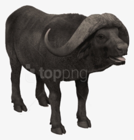 Statue,bovine,working And White,water Buffalo,sculpture,bull - Bull, HD Png Download, Transparent PNG