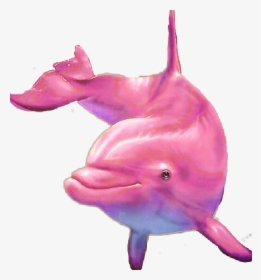 #pink #dolphin - Common Bottlenose Dolphin, HD Png Download, Transparent PNG