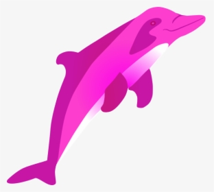 Pink Dolphin Clipart - River Dolphin Transparent Background, HD Png Download, Transparent PNG