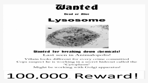 Wanted Poster For Lysosomes, HD Png Download, Transparent PNG
