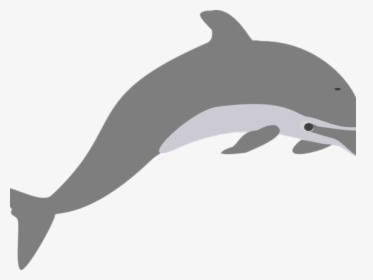 Clip Art Royalty Free Clipart Of Dolphins Jumping - Dolphin Clip Art, HD Png Download, Transparent PNG