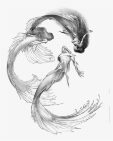 Siren Mermaid Drawing, HD Png Download, Transparent PNG