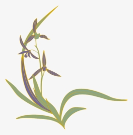 Orchid, Oriental Orchid, Flowers, Japanese Style - Orchids, HD Png Download, Transparent PNG