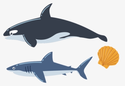 Sea Creatures Png Images, Pictures Free Download - Sea Animal Vector, Transparent Png, Transparent PNG