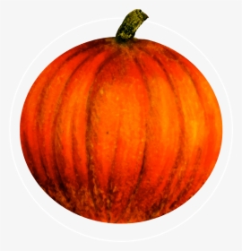 Attribute Motif Pumpkin White - Pumpkin, HD Png Download, Transparent PNG