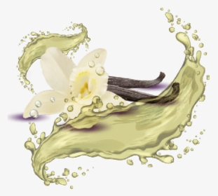 French Vanilla, HD Png Download, Transparent PNG