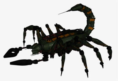 Insect, HD Png Download, Transparent PNG