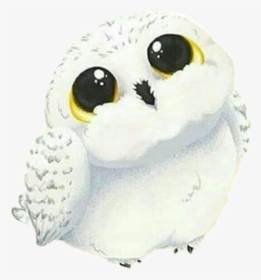 Cute Hedwig Harry Potter, HD Png Download, Transparent PNG