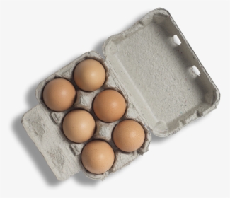 Penny University Coffee Roasters - Eggs In Box Png, Transparent Png, Transparent PNG