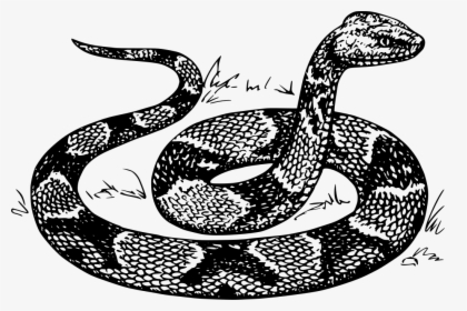 Transparent Snake Silhouette Png - Snake Drawing, Png Download, Transparent PNG