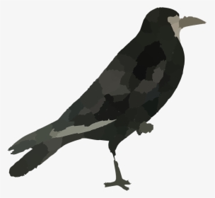 Raven Bird Png Hd - Crow Clipart Png, Transparent Png, Transparent PNG