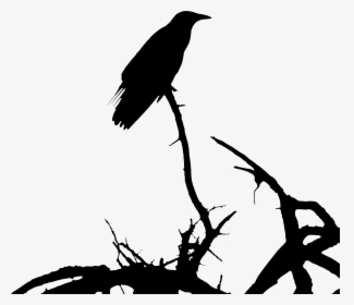 Baby Crow Silhouette, HD Png Download, Transparent PNG
