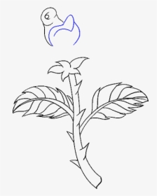 Drawing Png Rose - Draw A Flower Stem With A Leaf, Transparent Png, Transparent PNG