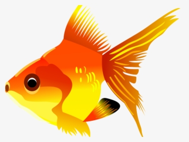Clipart Fish, HD Png Download, Transparent PNG