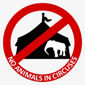 No Animals In Circuses, HD Png Download, Transparent PNG