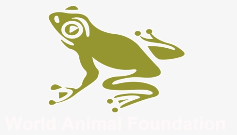 World Animal Foundation, HD Png Download, Transparent PNG