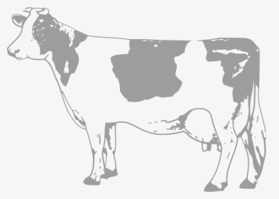 Transparent Got Milk Png - Cow Clipart Black And White, Png Download, Transparent PNG