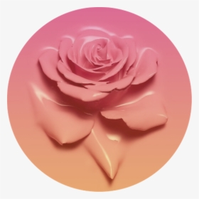 Icon Pink Fade Gradient - Rose Circle Icon, HD Png Download, Transparent PNG