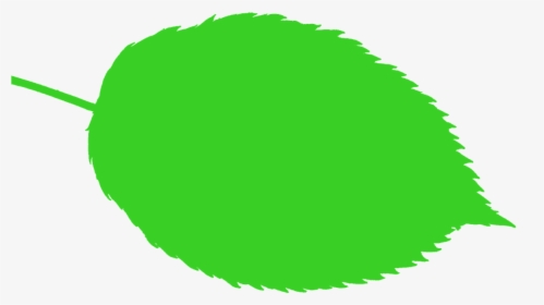 Tiere Die Wie Blätter Aussehen, HD Png Download, Transparent PNG