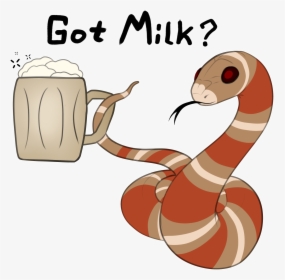 Milksnake - Got Milk - Snake Discovery Merch Milk Snake, HD Png Download, Transparent PNG