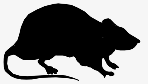 Laboratory Rat Silhouette Black Rat Clip Art - Rat Silhouette, HD Png Download, Transparent PNG