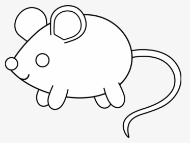 Wallpaper Blink Mouse Kangaroo - Mouse Clip Art Coloring Pages, HD Png Download, Transparent PNG