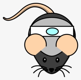 Cute Rat Clip Art - Mouse Clip Art, HD Png Download, Transparent PNG