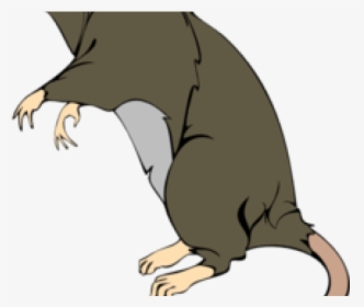 Rat Clipart Greedy - Rat Png Clipart, Transparent Png, Transparent PNG