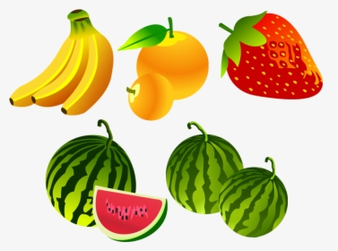 Fruit Vector Free Png, Transparent Png, Transparent PNG