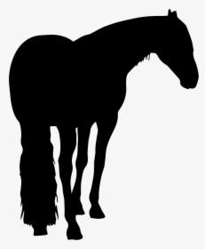 Horse Black Shape With Long Tail - Icon, HD Png Download, Transparent PNG