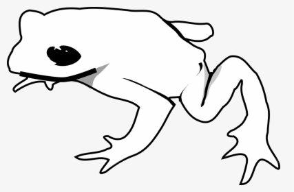 Black Frog Transparent Logo, HD Png Download, Transparent PNG