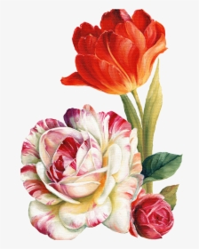 Png Lis Audit - Watercolor Transparent Background Flowers, Png Download, Transparent PNG