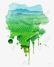 Green Tea Hand Painted - 3w Clinic Green Tea Foam Cleansing, HD Png Download, Transparent PNG