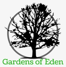 Everyone Sit Under Their Own Vine And Fig Tree, HD Png Download, Transparent PNG