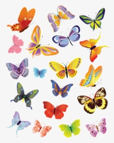 Group Of Butterfly Clipart, HD Png Download, Transparent PNG
