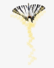 Papilio Machaon, HD Png Download, Transparent PNG
