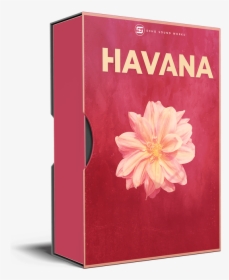 Echo Sound Works Havana Serum Preset - Book Cover, HD Png Download, Transparent PNG