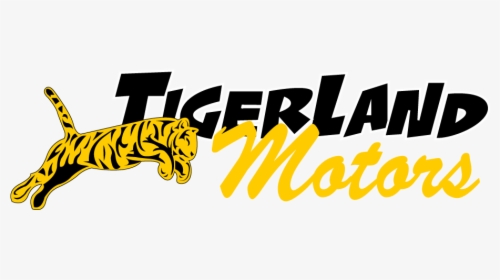 Siberian Tiger, HD Png Download, Transparent PNG