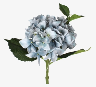 Transparent Hydrangea Png - Bouquet, Png Download, Transparent PNG