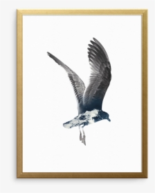 Set Sail Wall Art Print - Great Black-backed Gull, HD Png Download, Transparent PNG