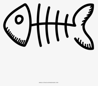 Drawing Fish Bone Coloring Book Skeleton - Line Art, HD Png Download, Transparent PNG